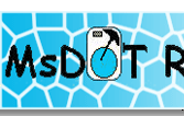 MsDOT